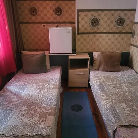 بيت شباب Alex 1